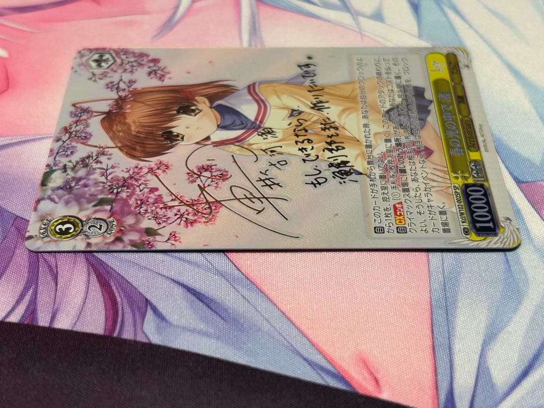 ヴァイス 春の光の中で 渚 SP