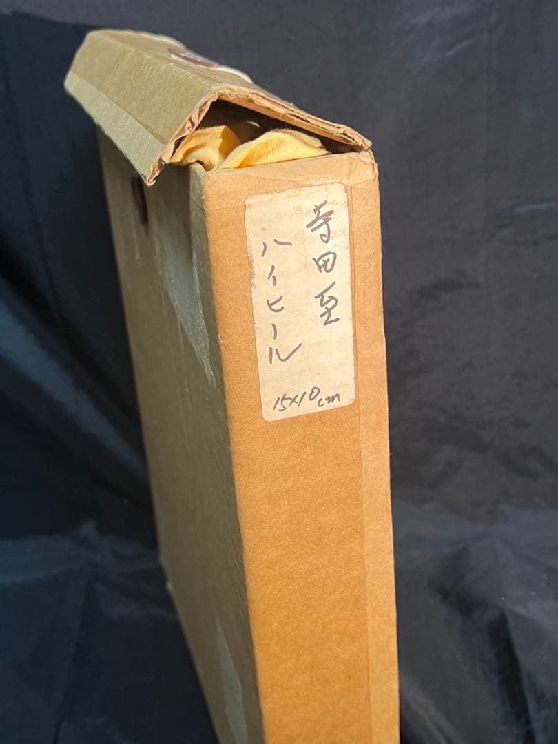 寺田至 てらだ・いたる ハイヒール 絵画 油彩 テンペラ