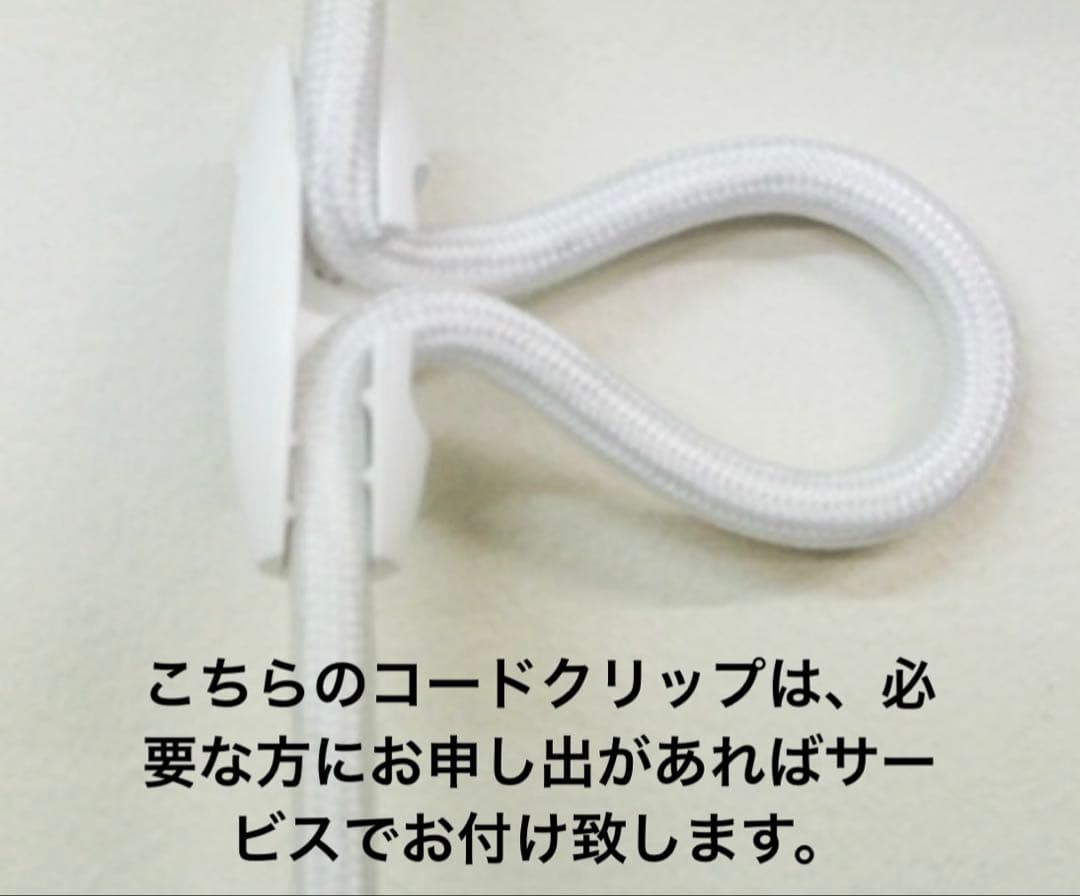 IDEE MOLLE CEILING LAMP イデー　ペンダントライト　照明