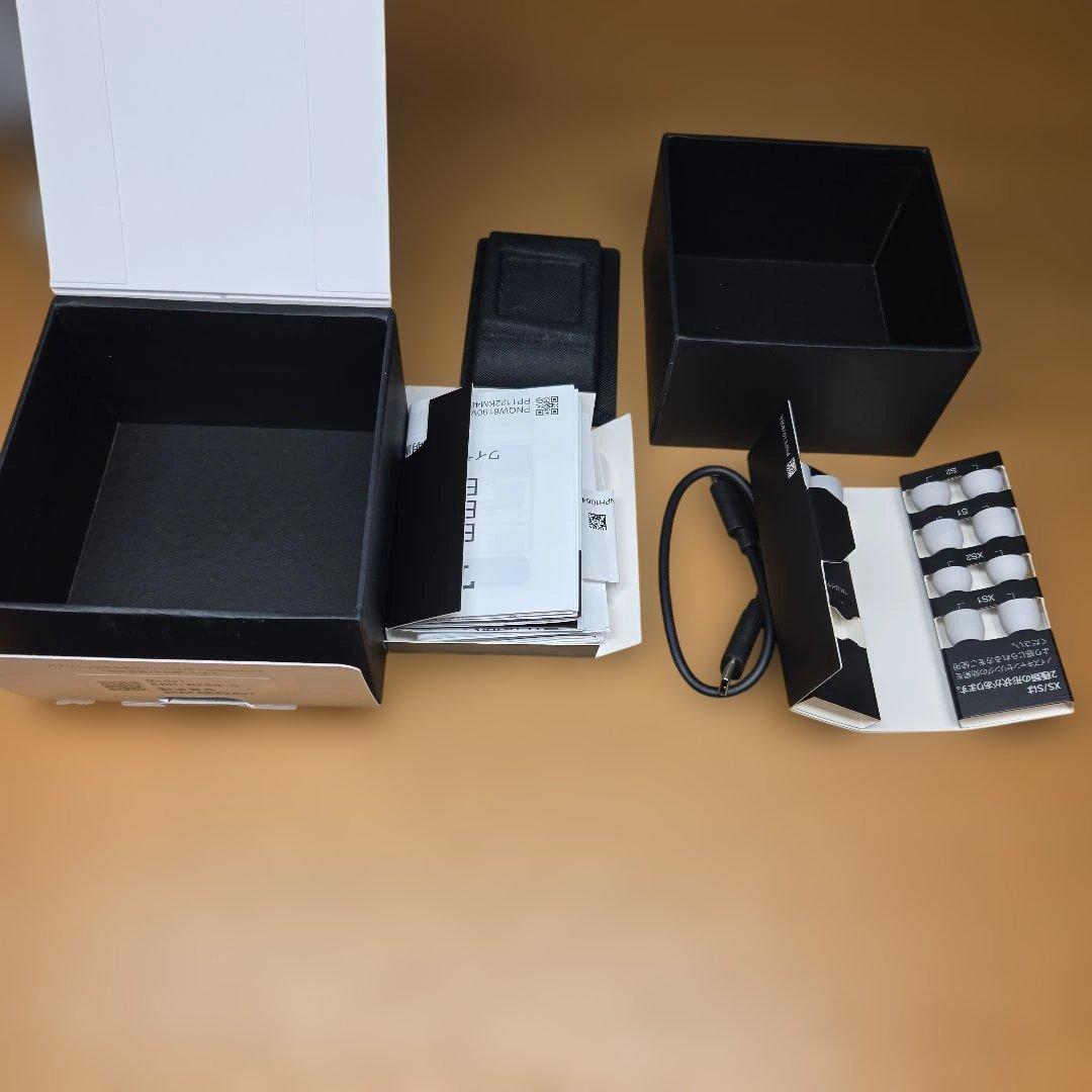 テクニクス　EAH-AZ80　ワイヤレスイヤホン　シルバー