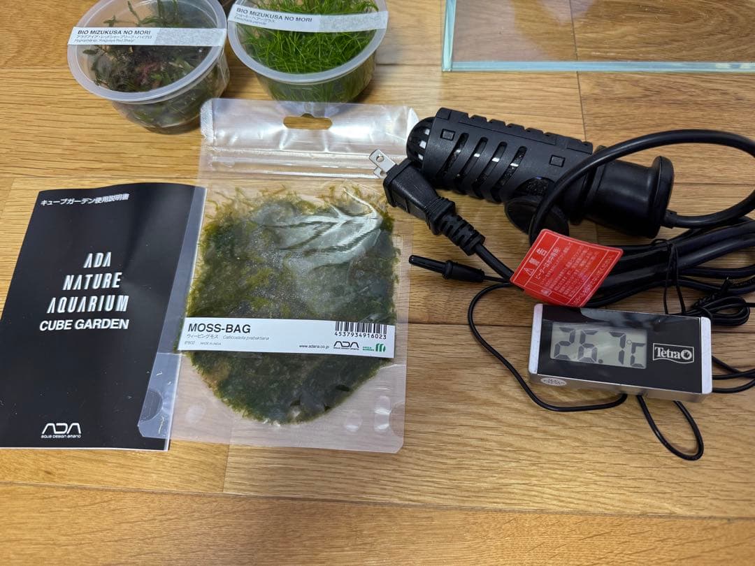 限定値下げ！　ADA 水槽　水草　セット