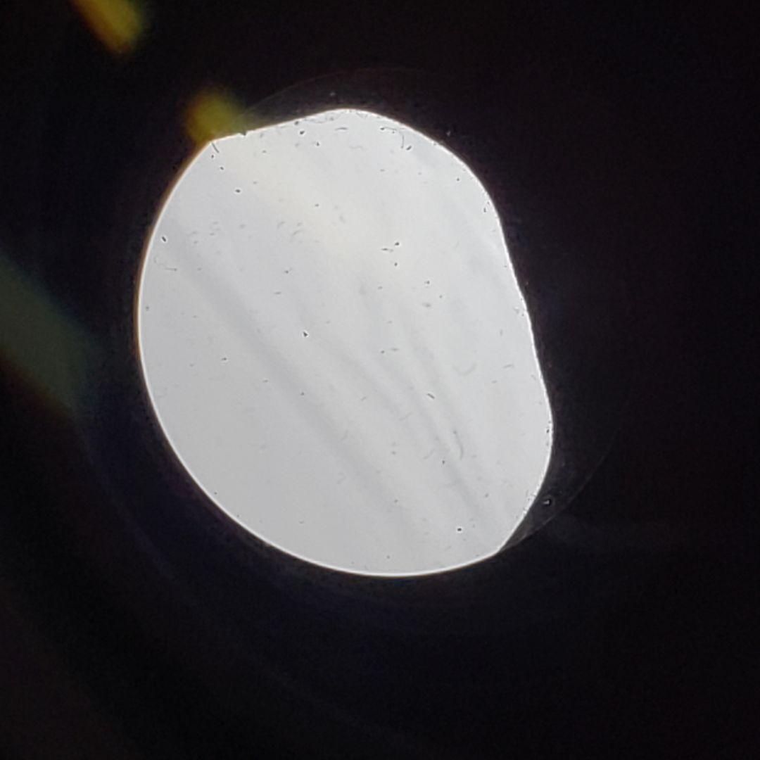 キャノン EF 300mm F2.8L EXTENDER EF 1.4x II