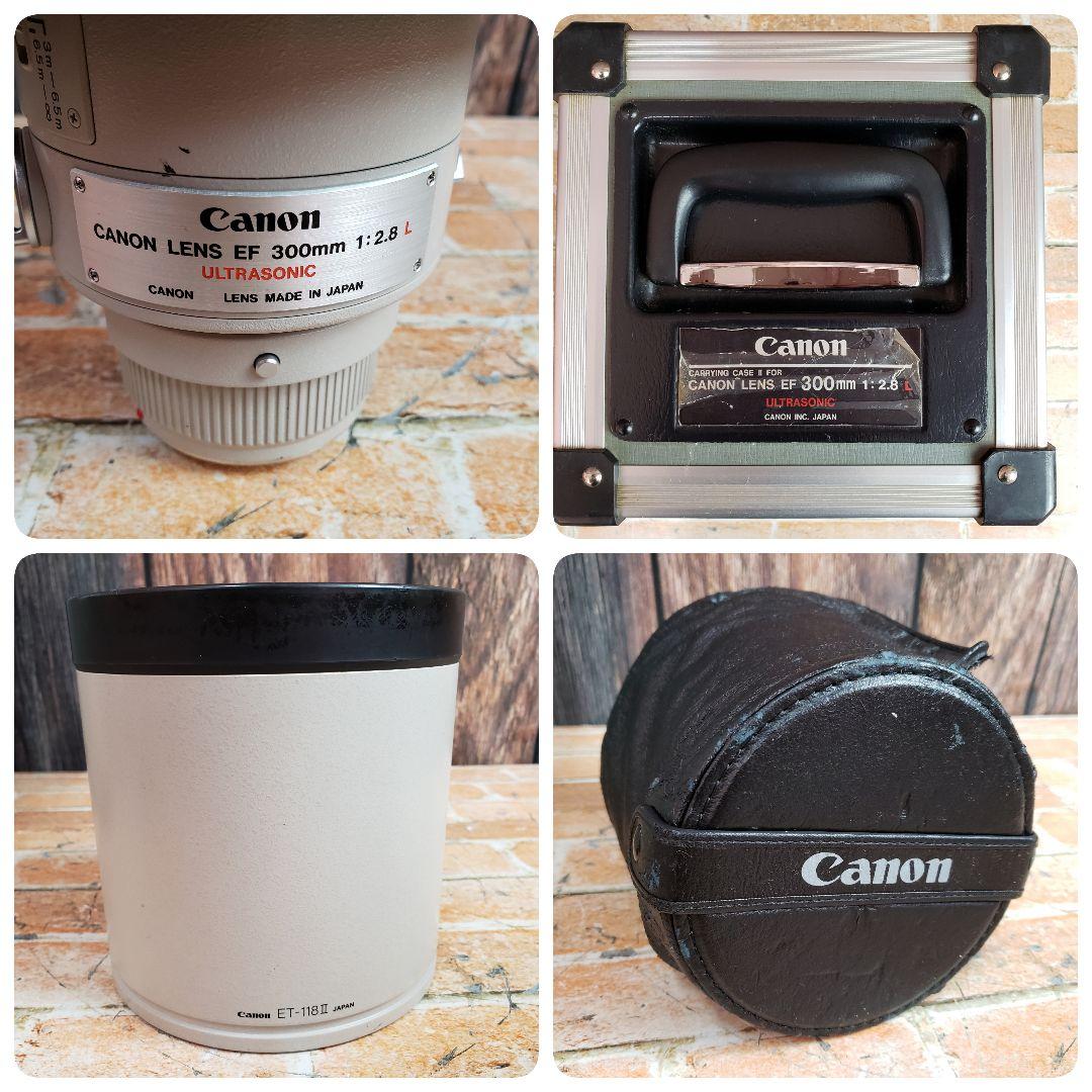 キャノン EF 300mm F2.8L EXTENDER EF 1.4x II