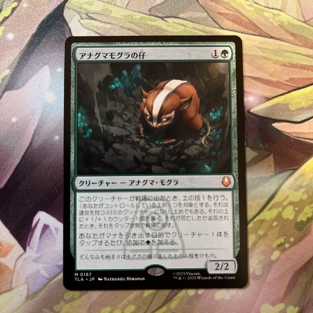 d5167 MTG アナグマモグラの仔