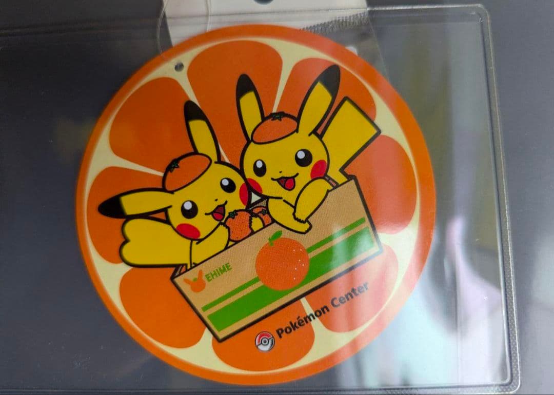 ペアピカチュウとえひめみかん　ぬいぐるみ　愛媛みかん　えひめみかん　愛媛　えひめ