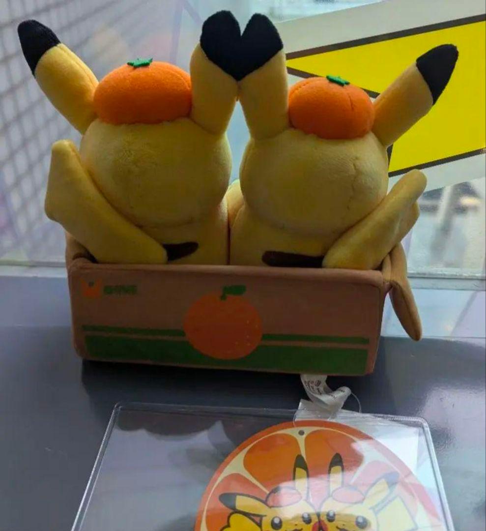 ペアピカチュウとえひめみかん　ぬいぐるみ　愛媛みかん　えひめみかん　愛媛　えひめ