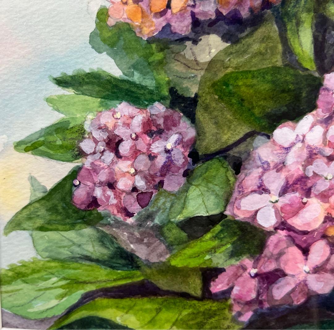 透明水彩画　SＭ　紫陽花　額付　ガラス