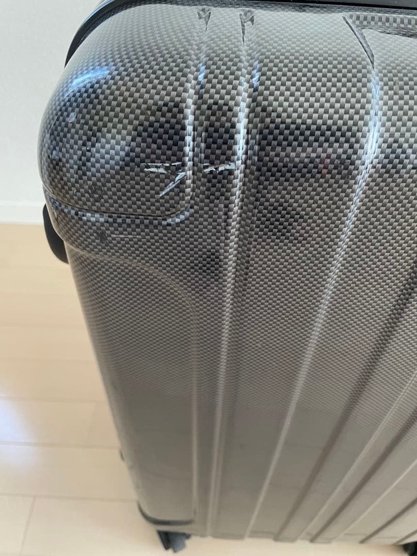 ACE Co.,Ltd. PUJOLS スーツケース