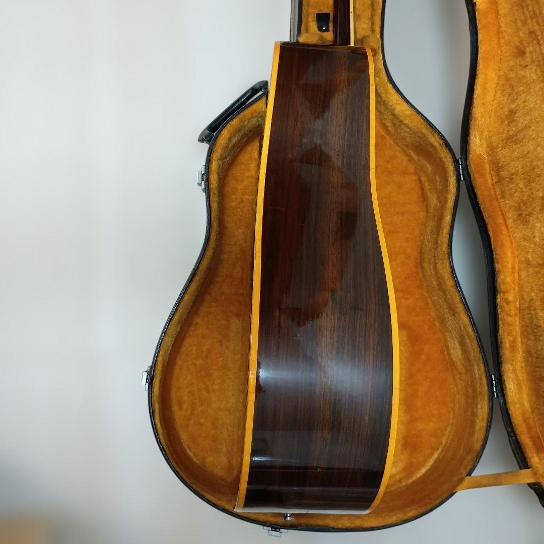 Blue Bell アコースティックギター 250