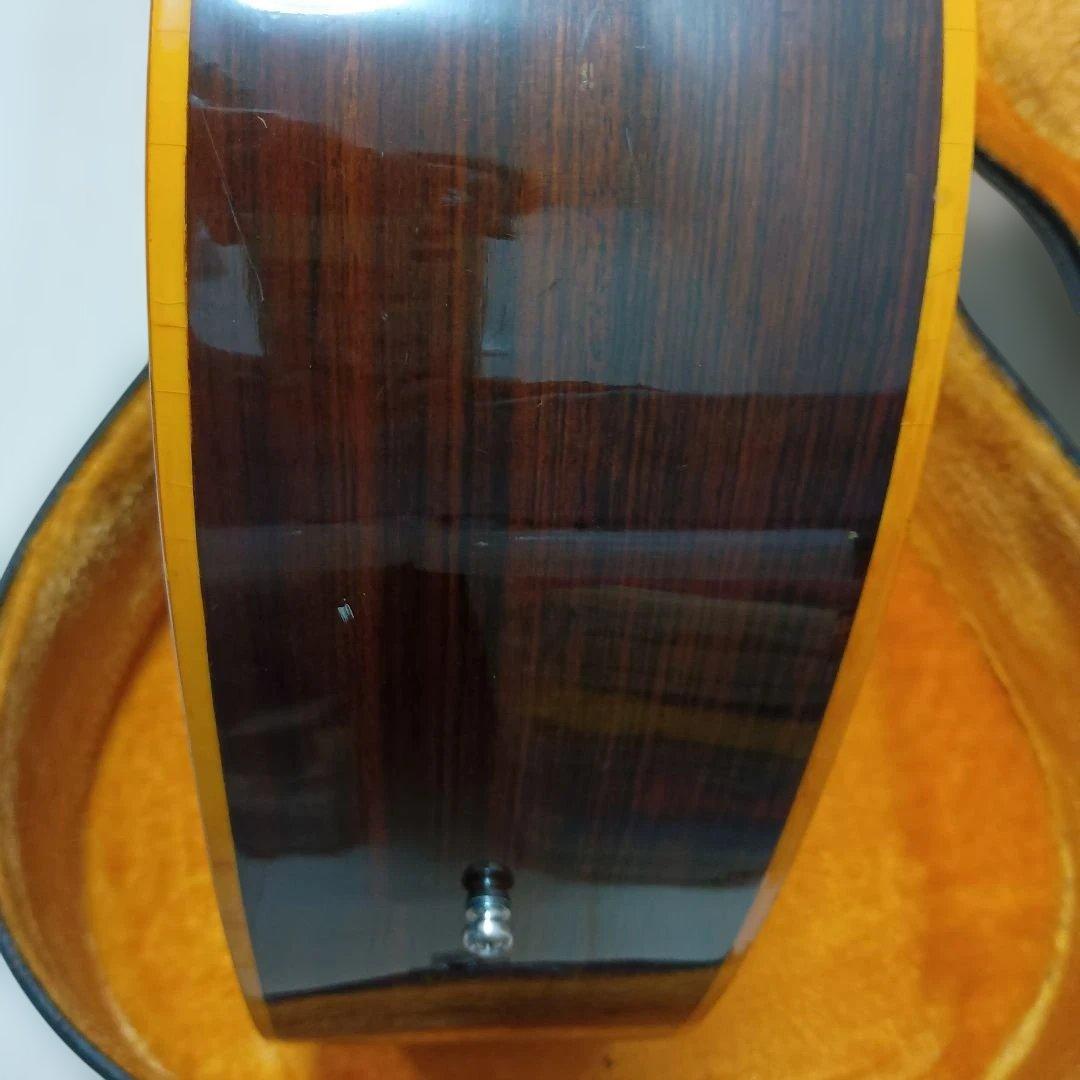 Blue Bell アコースティックギター 250