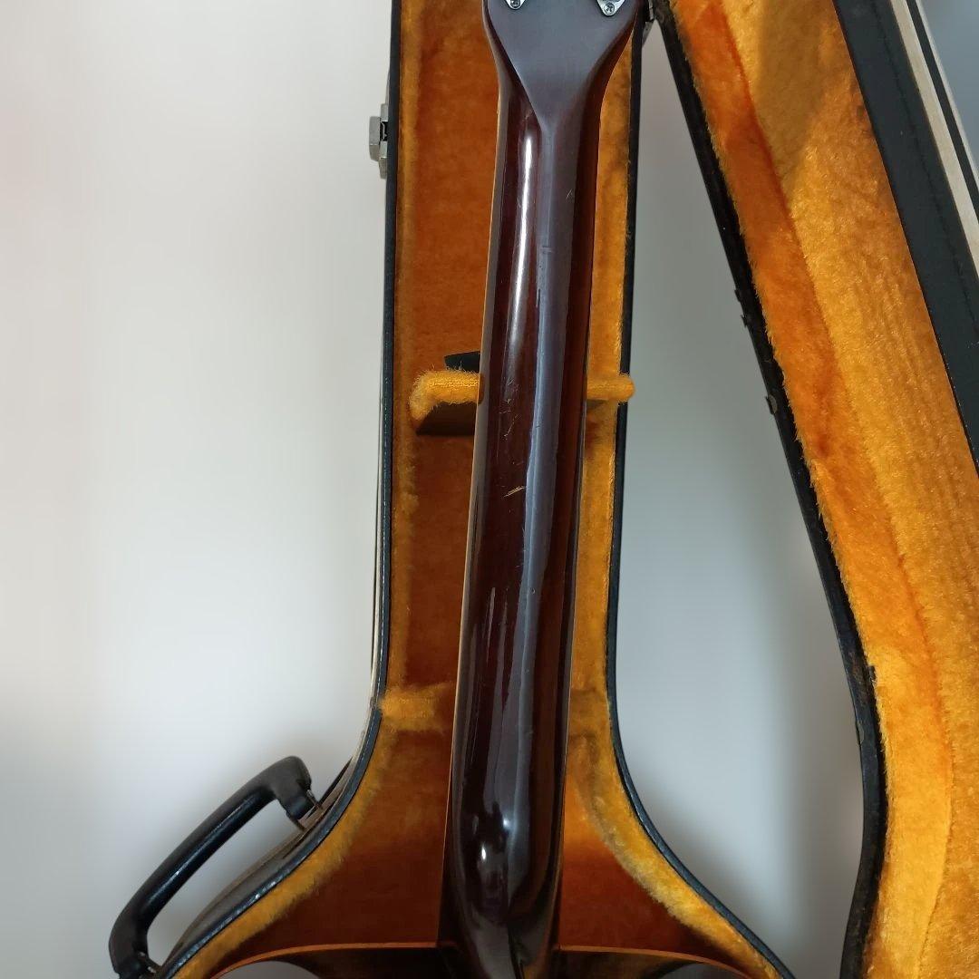 Blue Bell アコースティックギター 250