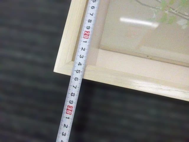 綺麗な日本画です。 繊細な花の絵 「アニソドンティア」木製額装　落款は「中川」