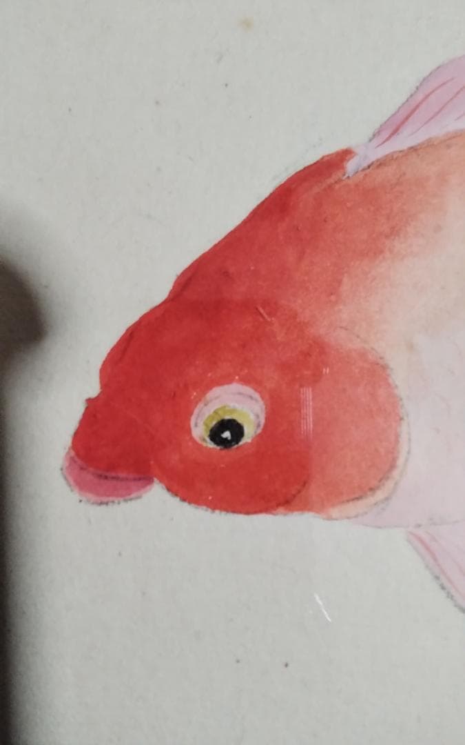 模写　作者不明　速水御舟　金魚　日本画巨匠最終値下げ