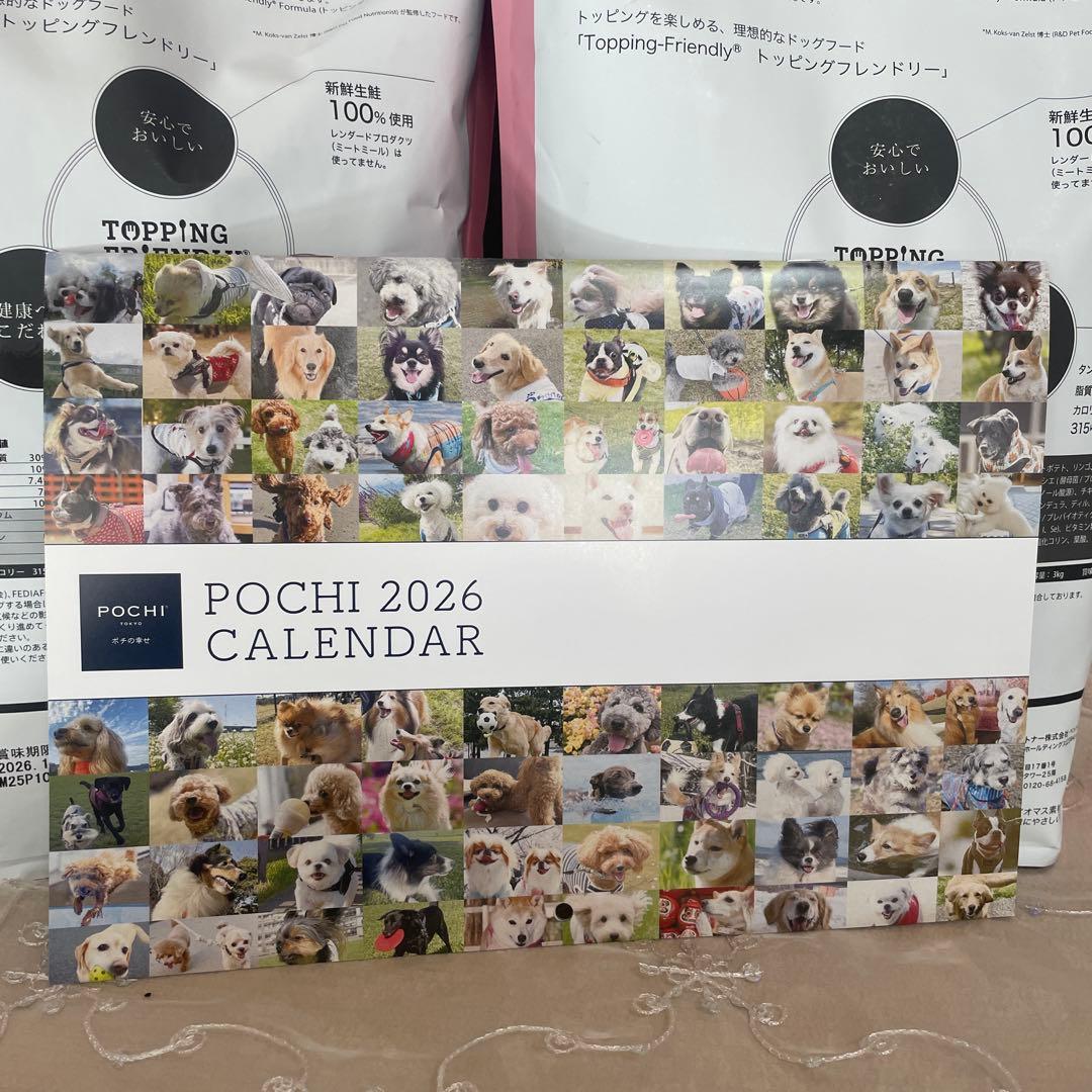 【送料込み】POCHI（ポチ）ワイルドサーモン ドッグフード 3kg 2袋セット