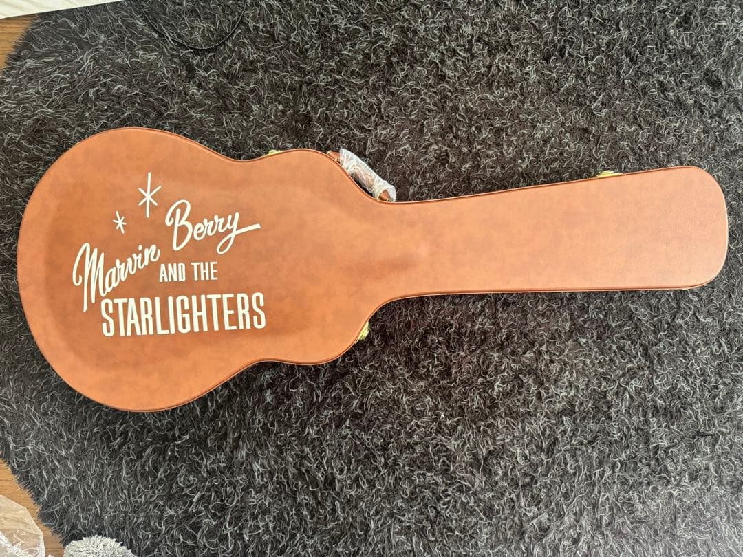 ギター EPIPHONE BACK TO THE FUTURE ES-345