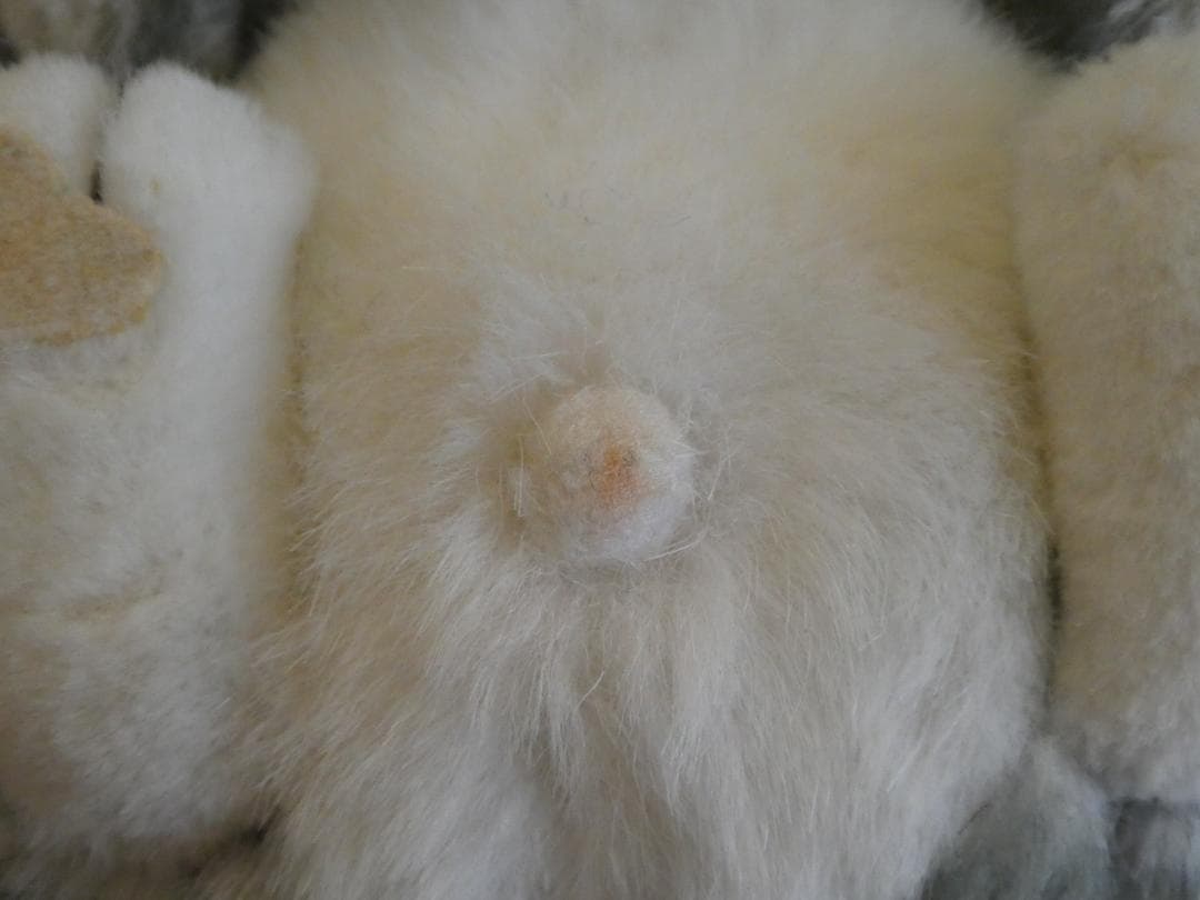 メルカリ便☆ファースト☆いたずら天使　ねこ　ぬいぐるみ