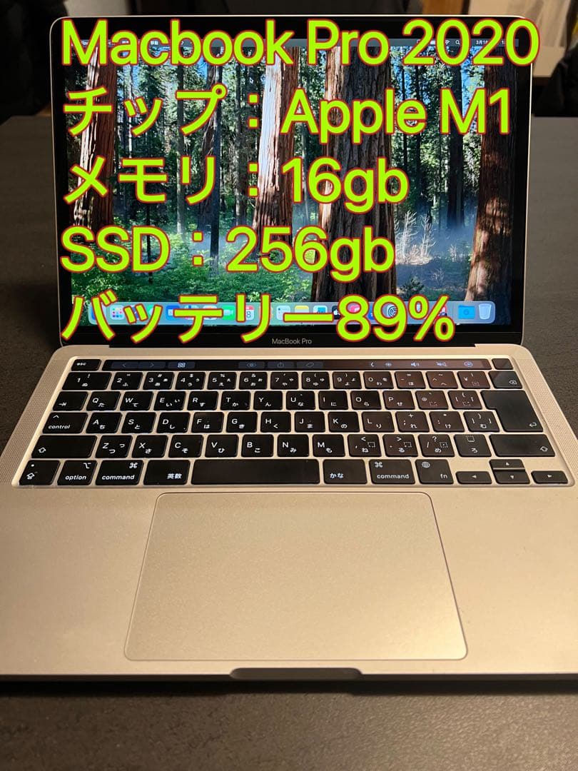 M1チップ Macbook Pro 2020 メモリ16gb SSD256gb