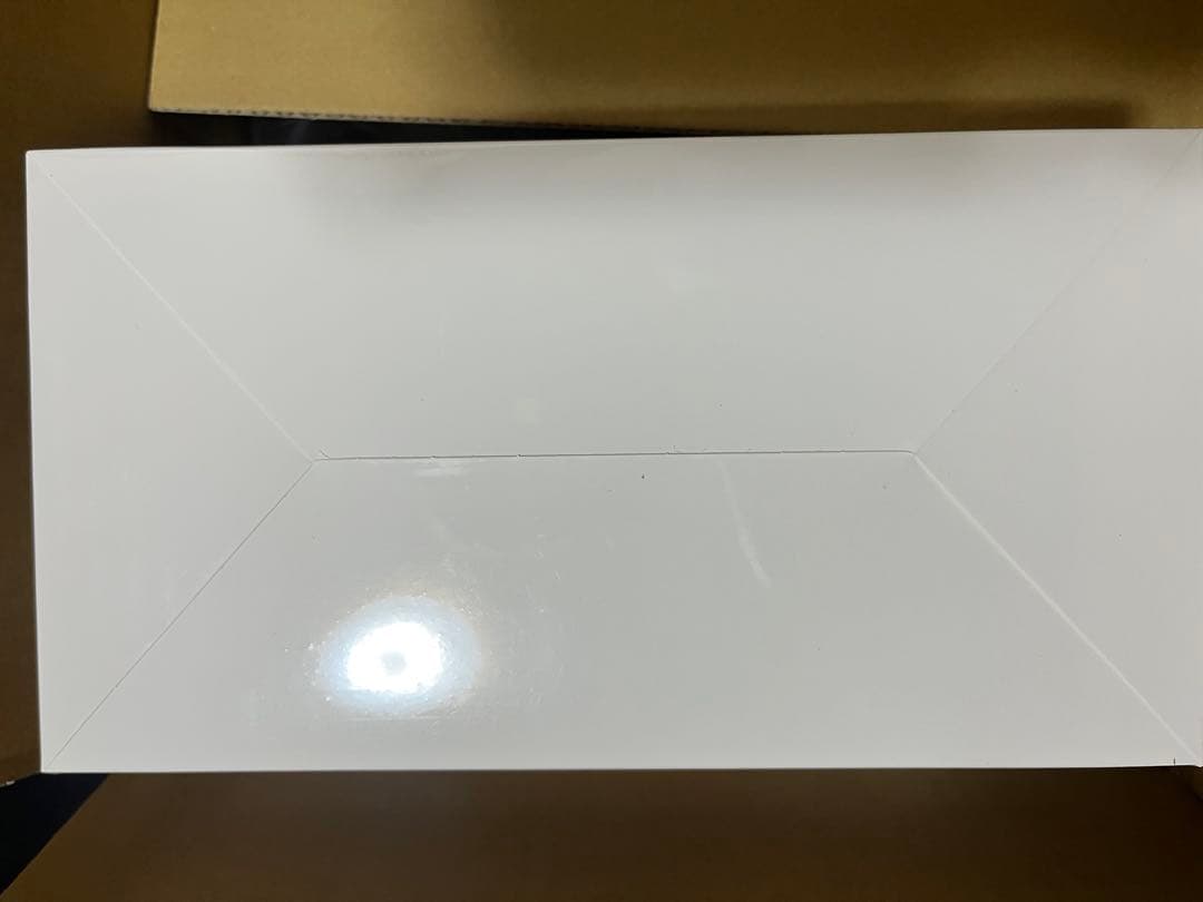 THE MONSTERS Big into Energyアソート2箱　ラブブ