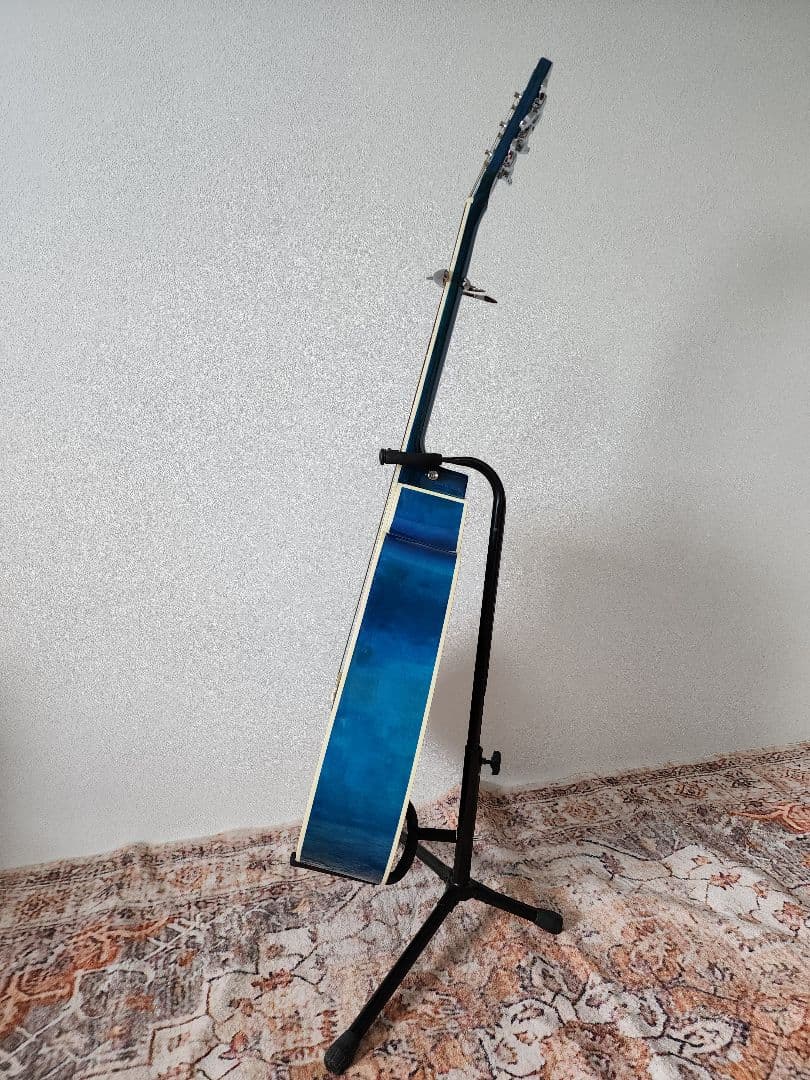 カッタウェイアコースティックギターセット