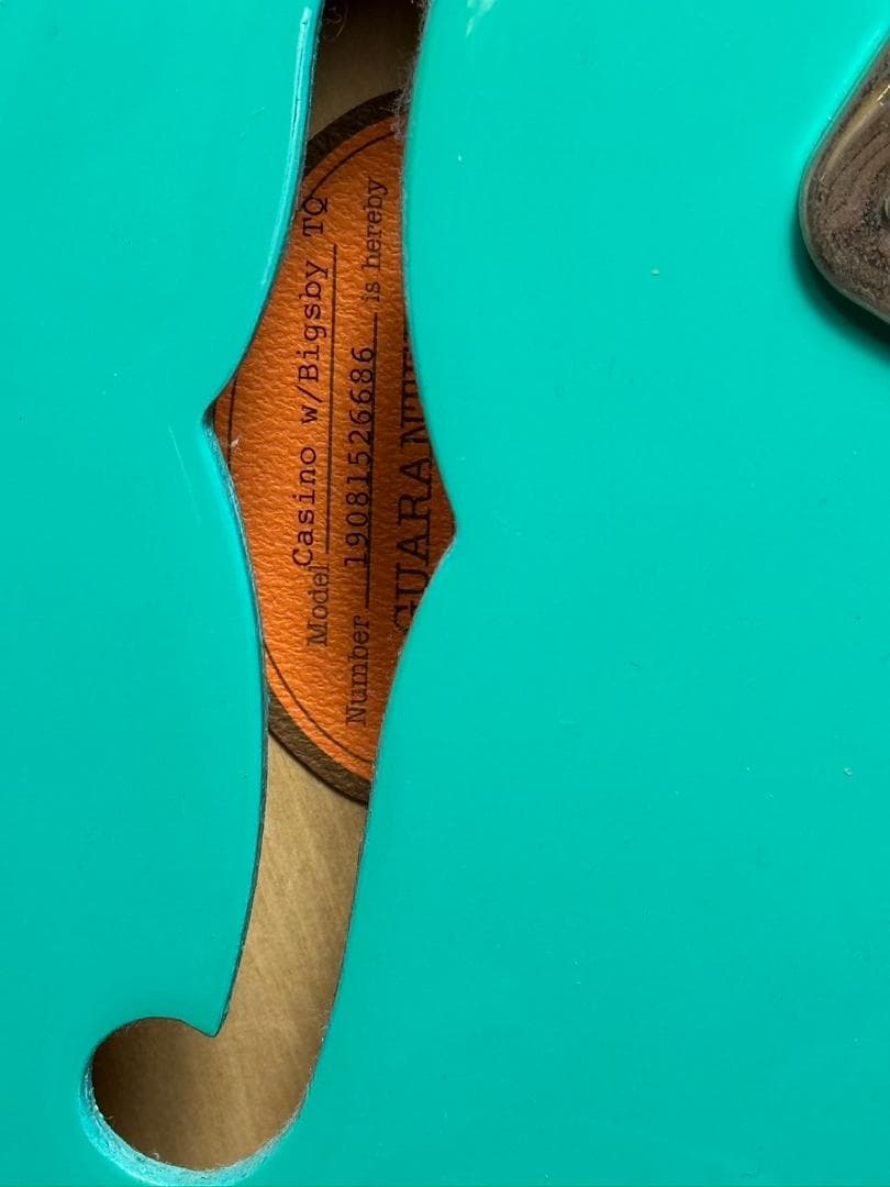 Casino Coupe Epiphone エピフォン　カジノ　クーペ