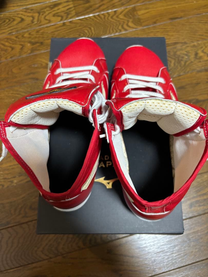 【最終値下げ】Mizuno ボクシングシューズ レッド