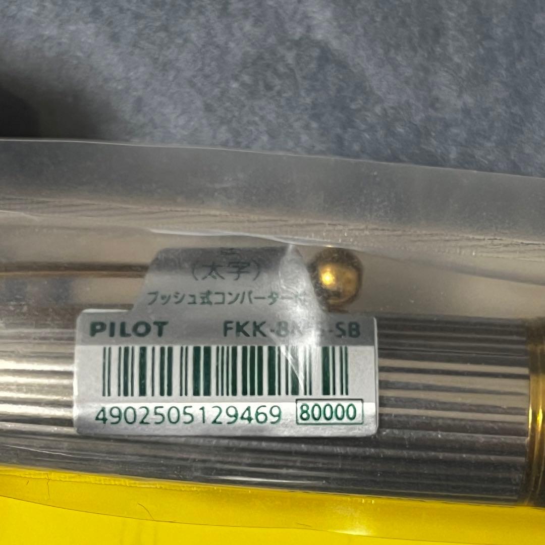 パイロット カスタム748 スターリングシルバー 太字