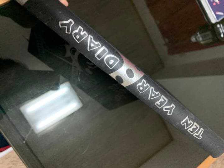 10年日記☆ミッキーマウス