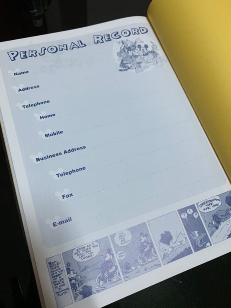 10年日記☆ミッキーマウス