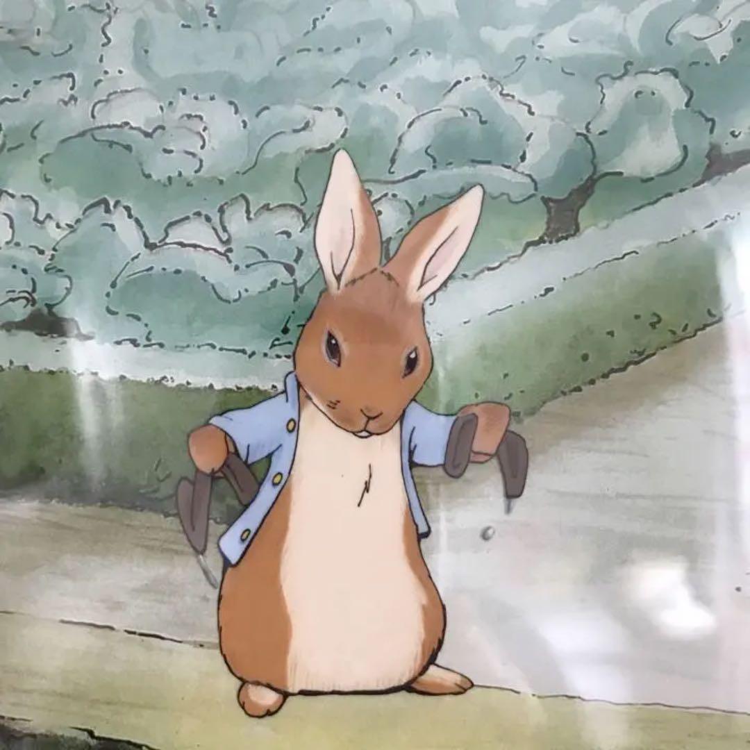 ピーターラビット　セル画