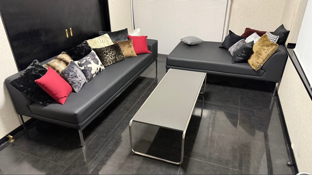 【期間限定値下げ中】カウチソファ【値引き歓迎】