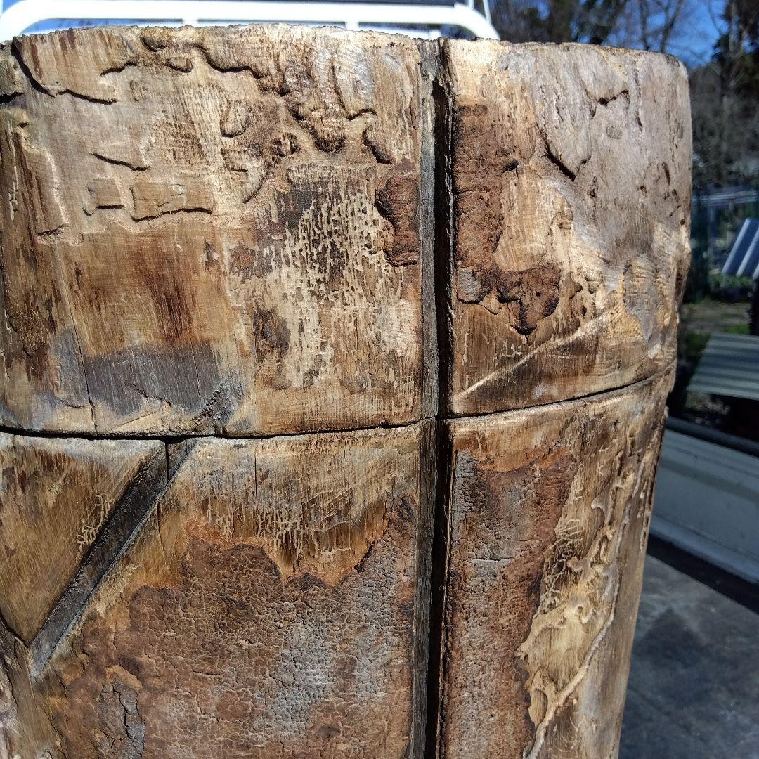 天然木製(桐材)円筒形採集道具 桐 丸洞 みつばち捕獲兼用飼育箱