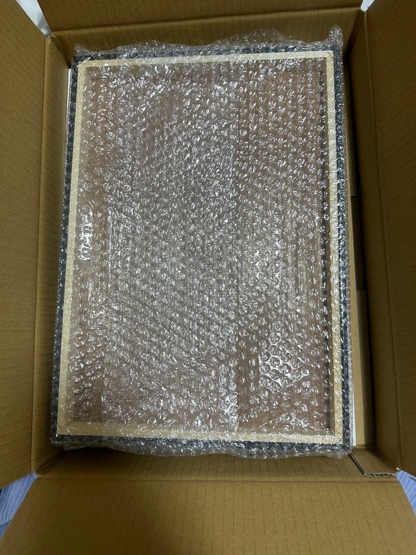 米倉れいあ　直筆サイン入りパネル　限定100枚