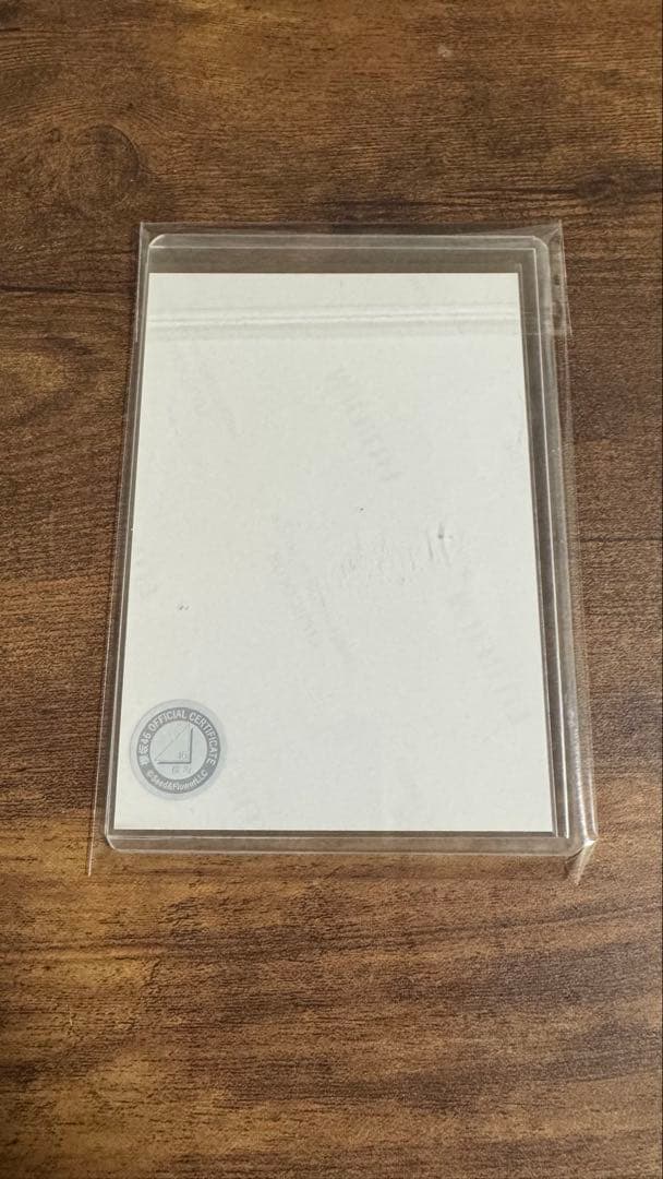 【破格価格】櫻坂46 森田ひかる 2024年サンタ衣装 直筆サイン入り生写真