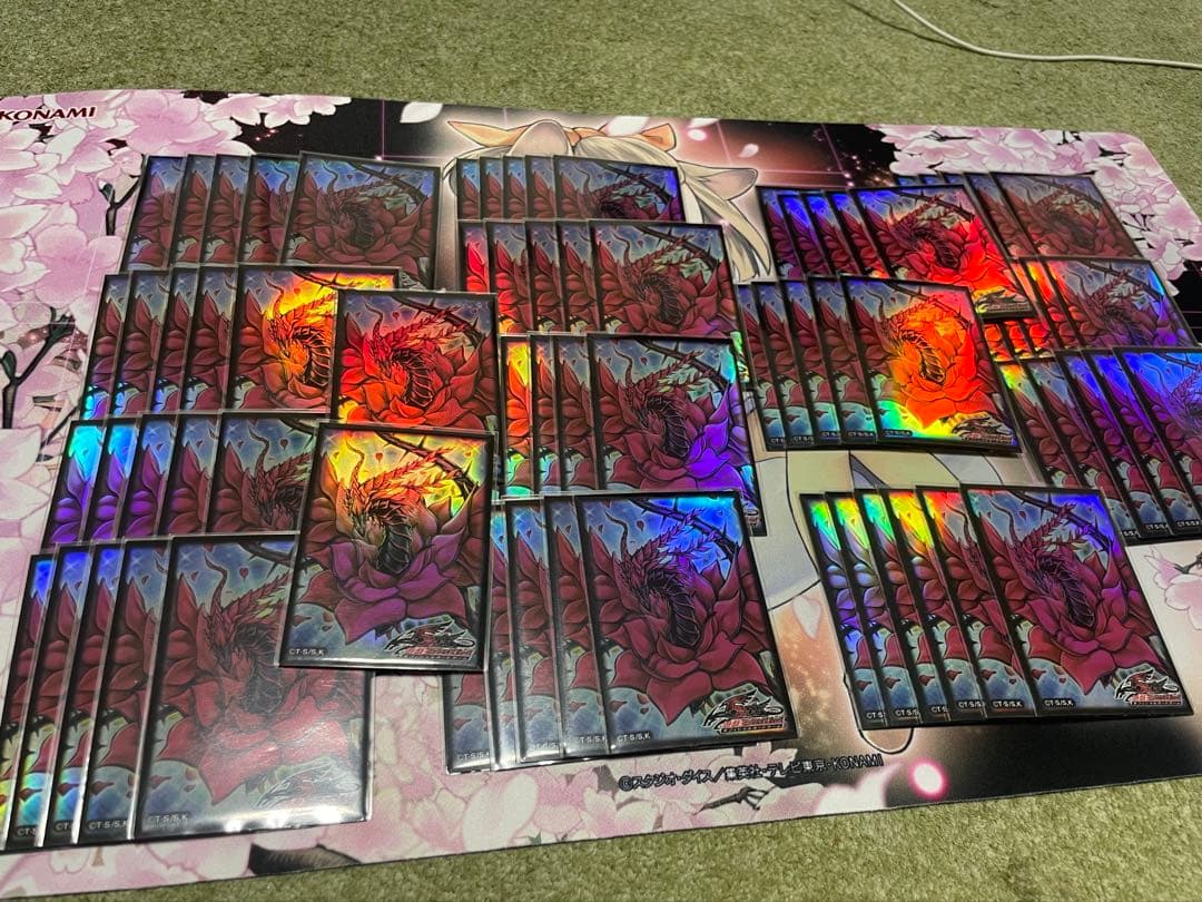 遊戯王　デブリダンディ　2011年　ゲートボール　装備植物