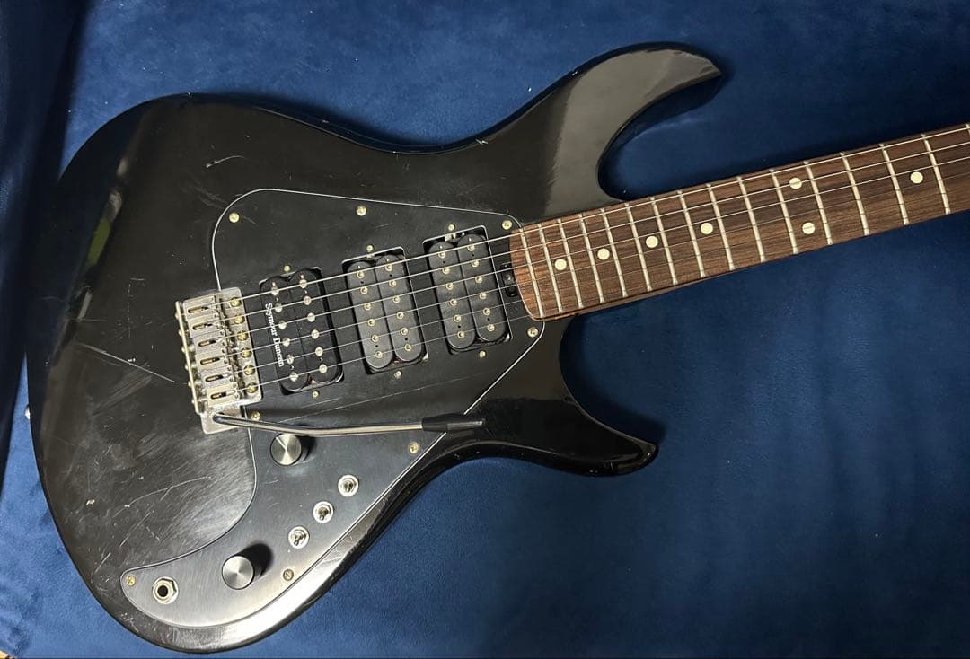 【激レア希少個体】Aquarius BLACK Beauty ＡＱ－550S