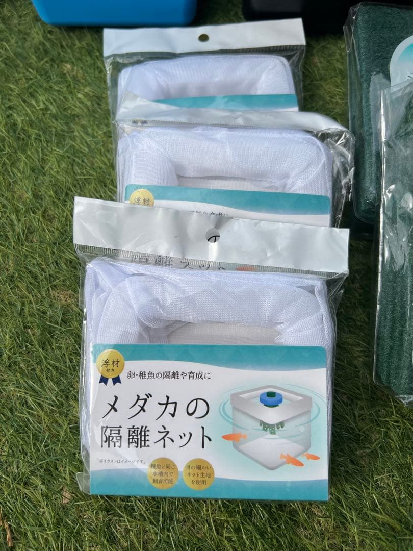 メダカ　飼育セット　わけぷか