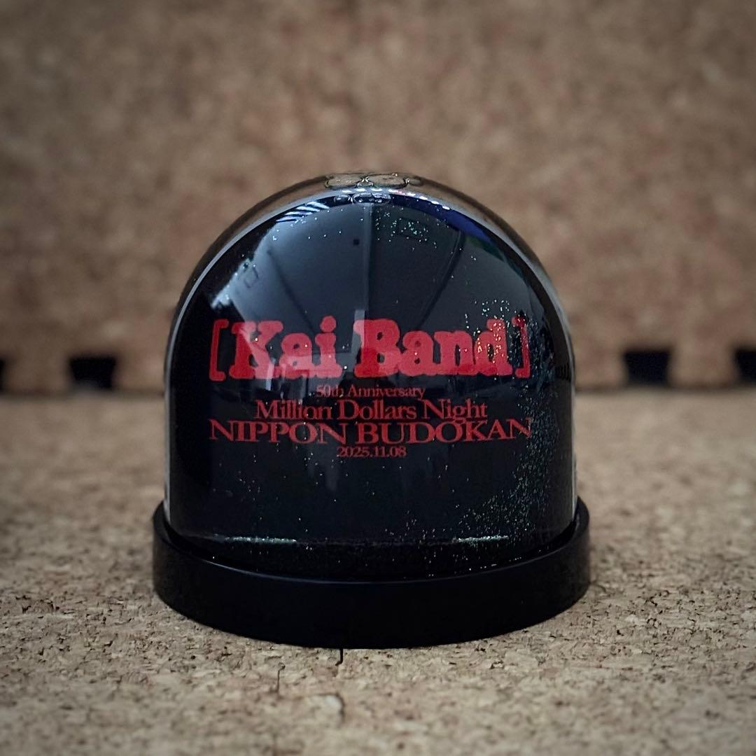 【限定・非売品】甲斐バンド 武道館ライブVIP特典 スノードーム