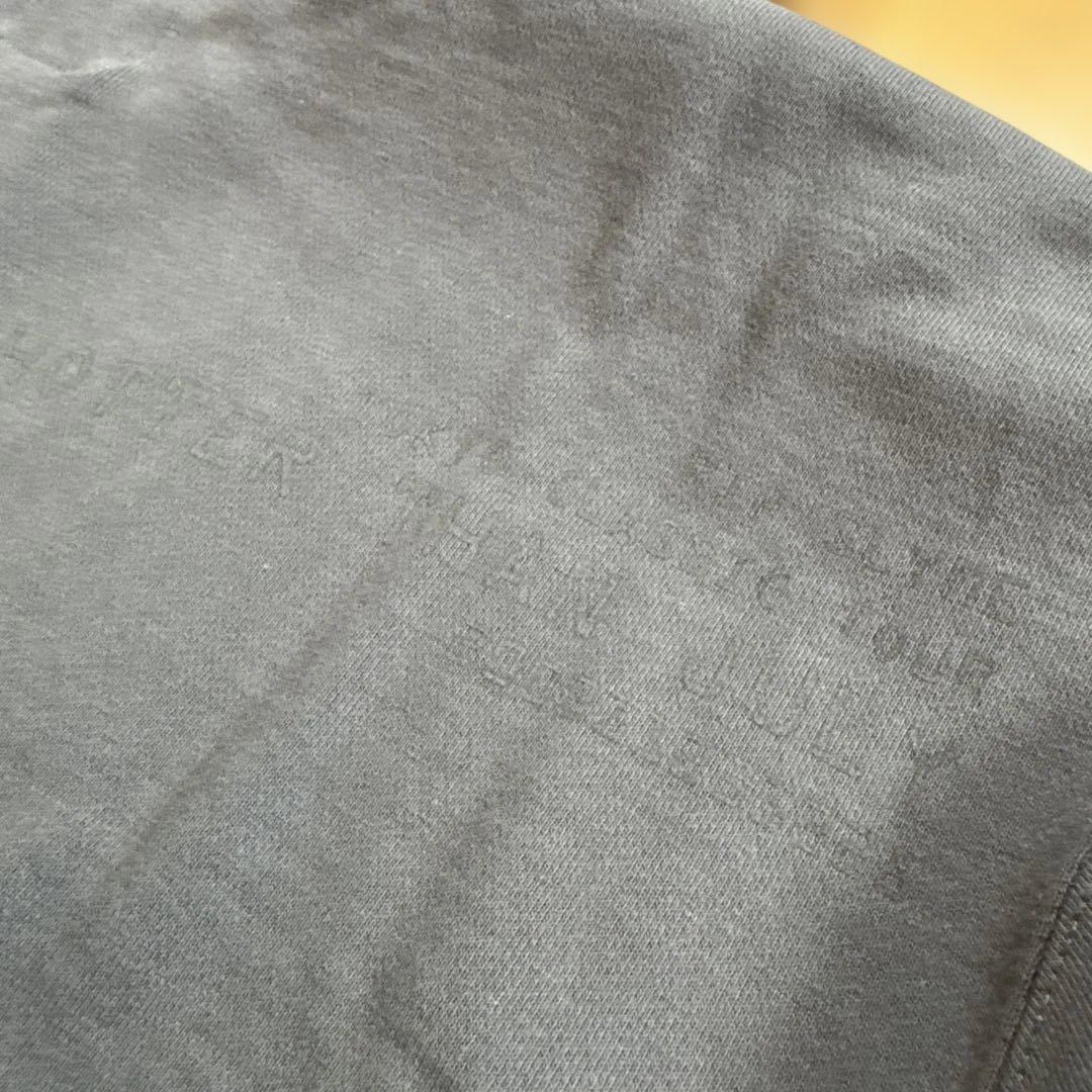 レア★リップスライムライブツアーグッズ★グレーパーカー グラフィックプリント