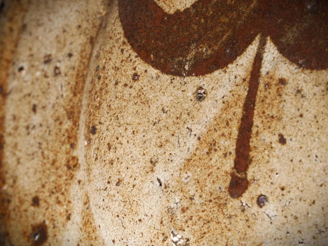 希少作★中川自然坊★絵唐津皿（２０，５ｃｍ）