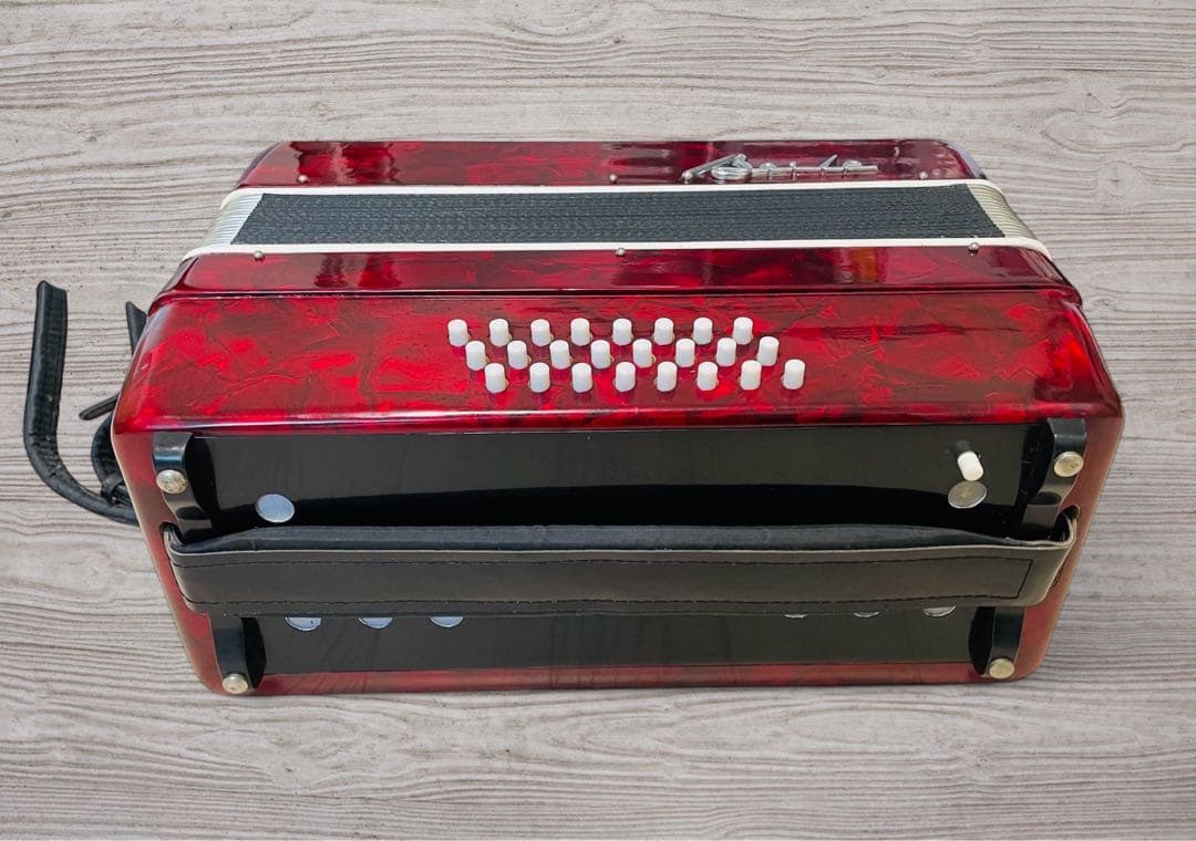 Baile バイレ アコーディオン 30鍵盤 24ベース ケース付