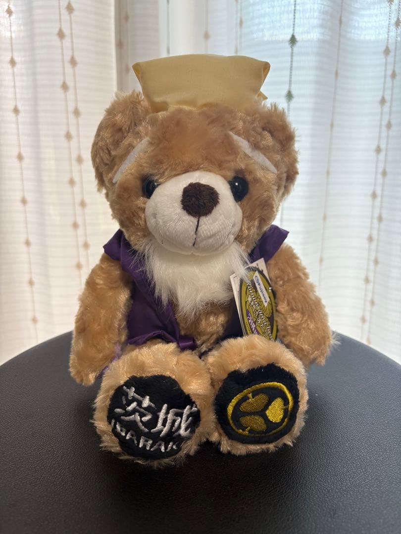 【マサキ様】ご落札分　小田急ロマンスカー/福井恐竜