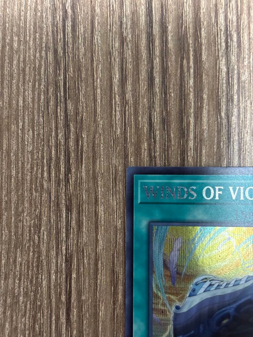 Winds of Victory 限定版　遊戯王　nike