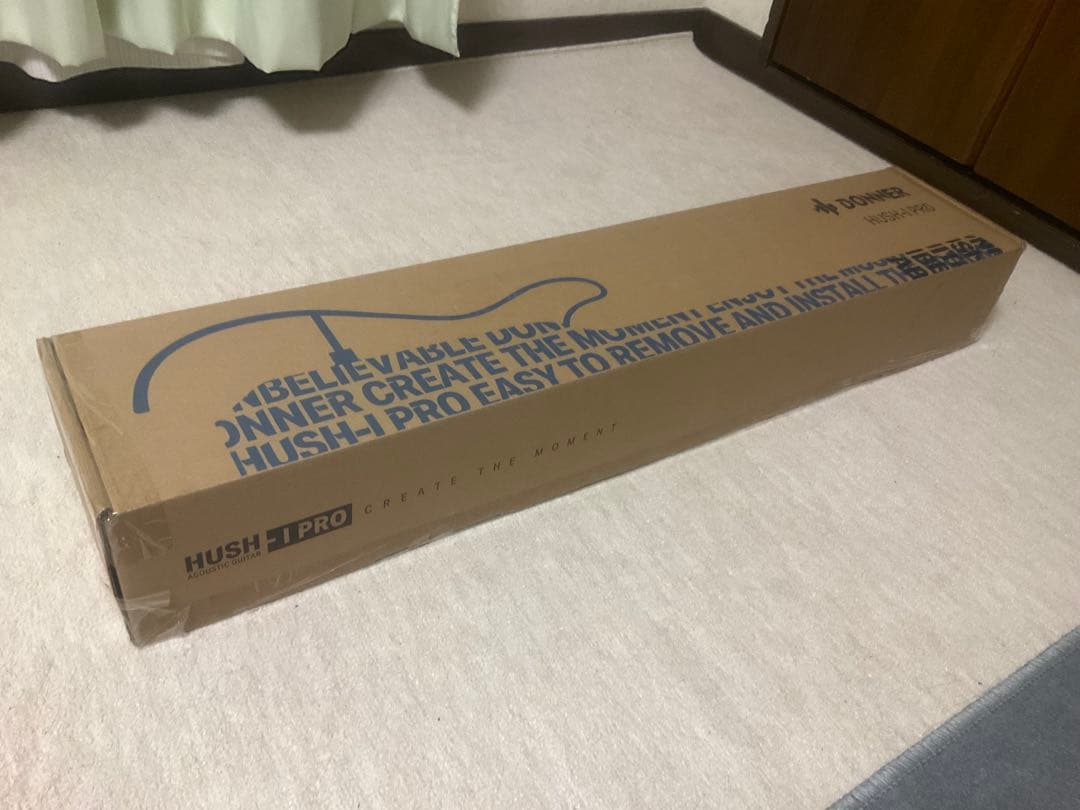 ギター Donner HUSH-I PRO