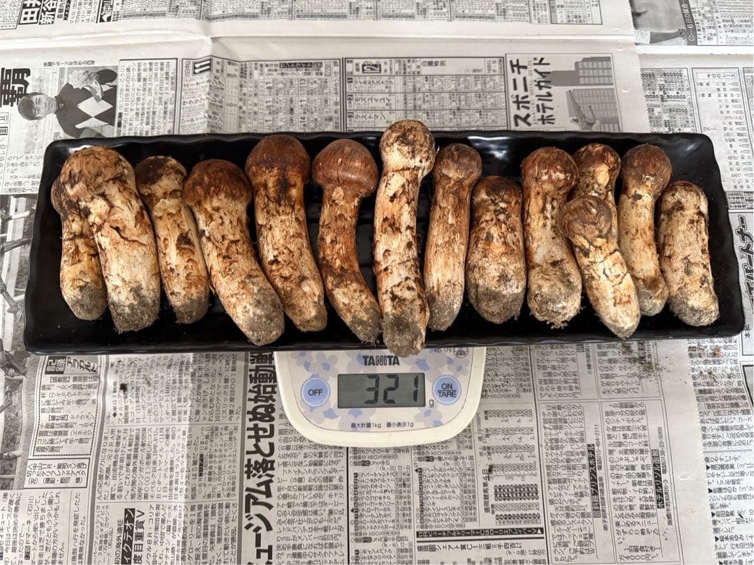 松茸　北海道　300g ② 国産