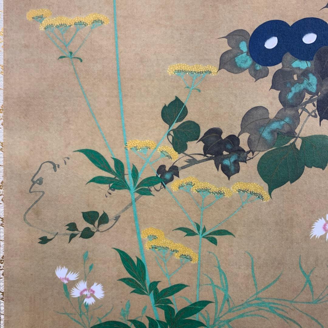 美品 掛け軸 酒井抱一筆 七草図 解説付き 名画