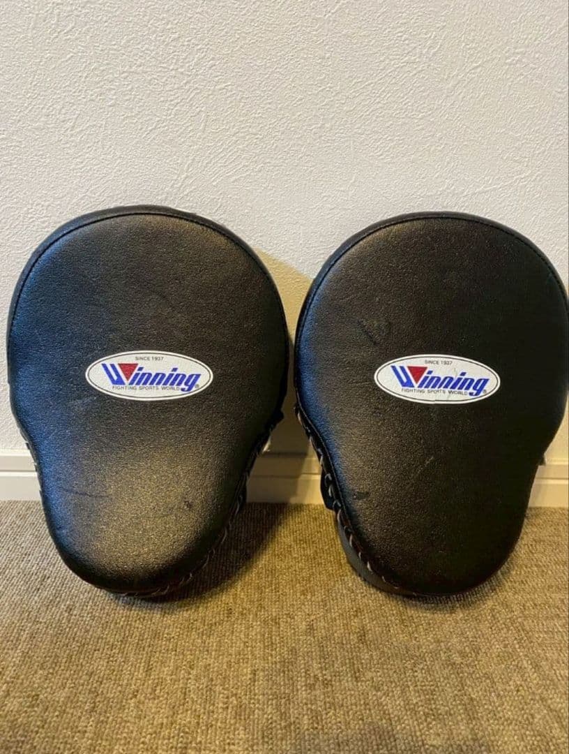 特注品 ウイニング Winning パンチングミットハイグレード指カバータイプ