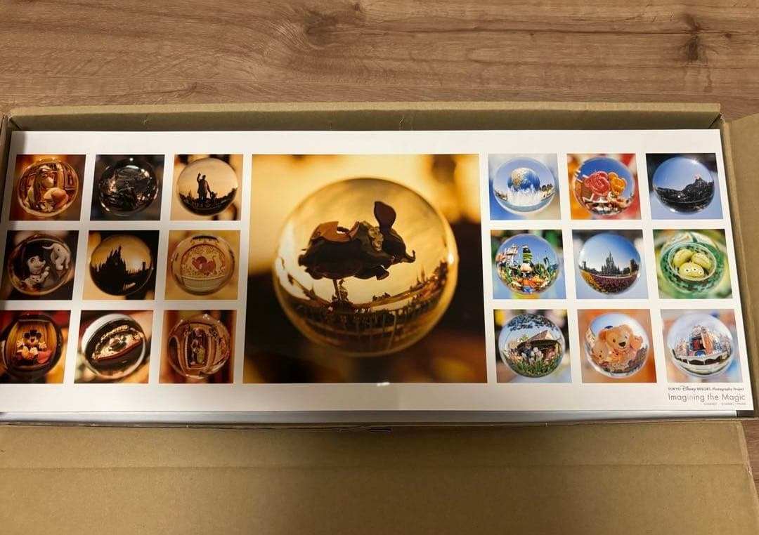 レア　ディズニー　イマジニングザマジック　アート　パネル　魚眼レンズ