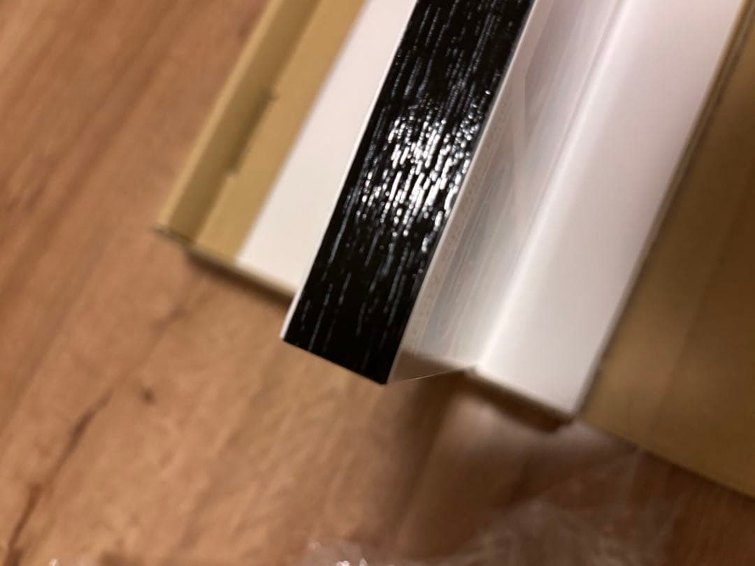 レア　ディズニー　イマジニングザマジック　アート　パネル　魚眼レンズ