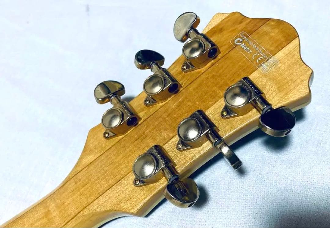 Ibenez PM2 PAT METHENY フルアコ パット・メセニー