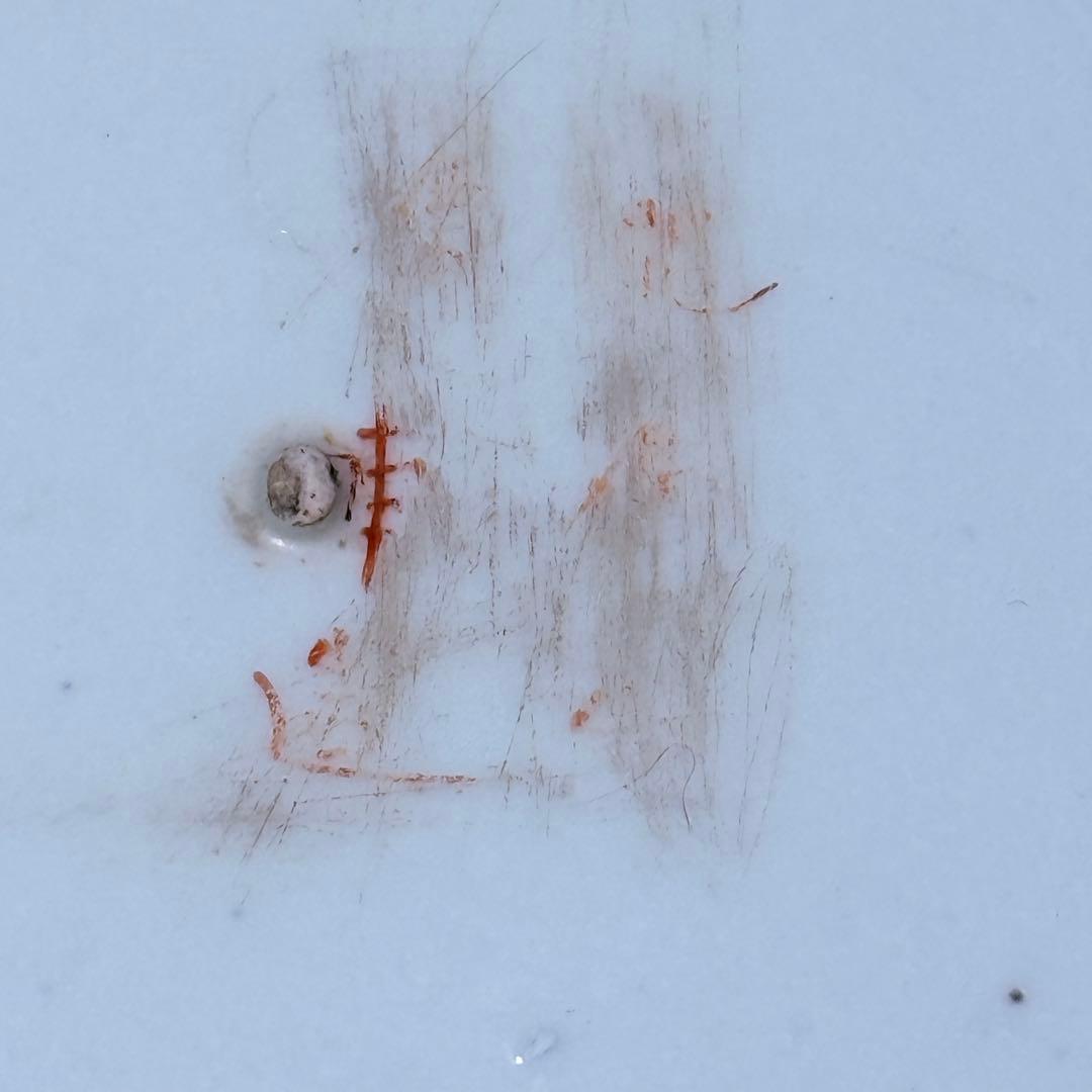 1856～1900年　明治時代　肥碟山信甫製　田代紋左衛門　名品　絢爛豪華　大鉢